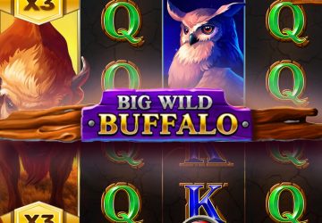 Автомат Big Wild Buffalo в казино Клауд